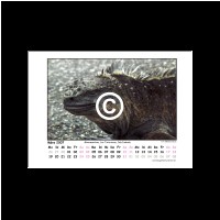 Galapagos_Seite_04.jpg