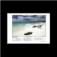 Galapagos_Seite_09.jpg